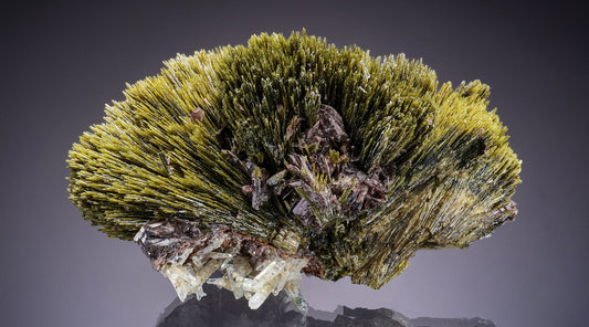 Tuesday Update – Peru