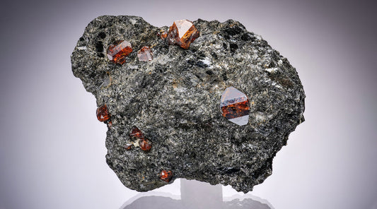 Tuesday Update – Europe (Germany & Norway)