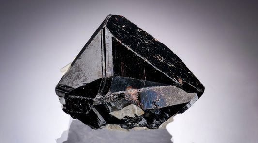 Tuesday Update – Czechia