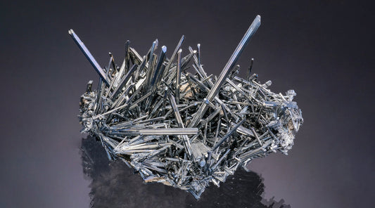 Tuesday Update – Slovakia