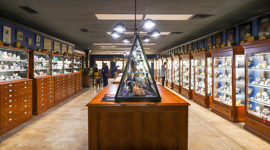 Book a personalized viewing experience