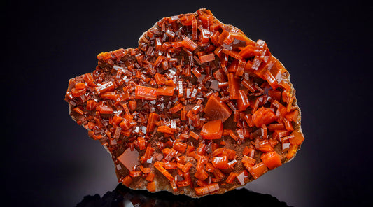 Dr Josef Clemente Collection