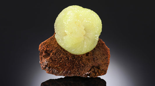 Martin & Michael Günther Collection