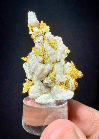 NATIVE GOLD with PYRITE on QUARTZ
