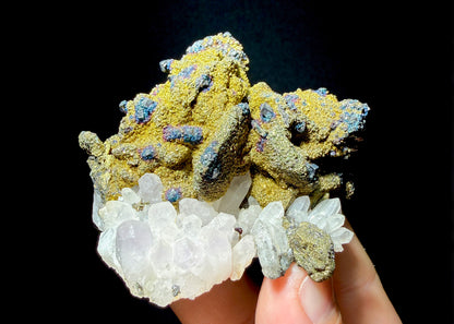 POLYBASITE on CHALCOPYRITE with QUARTZ