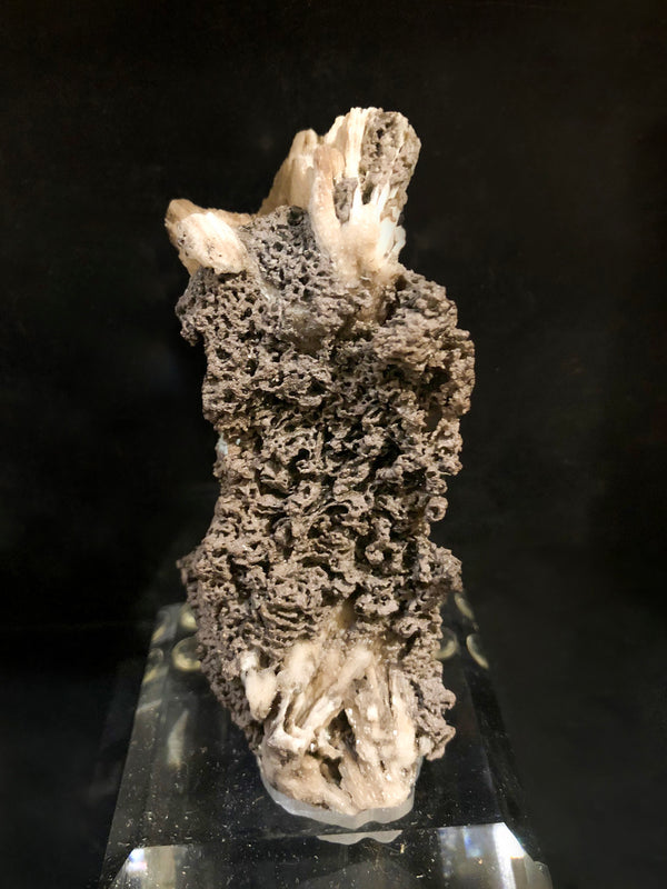 CHLORARGYRITE var. Embolite with CERUSSITE