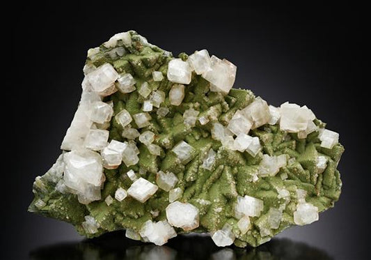 CC10042 specimen image