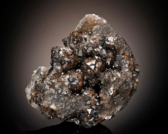 CC10052 specimen image