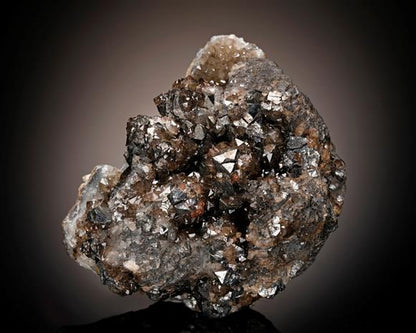 CC10052 specimen image