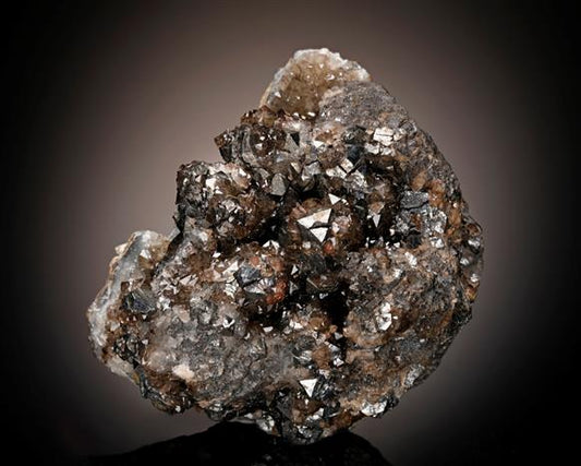 CC10052 specimen image
