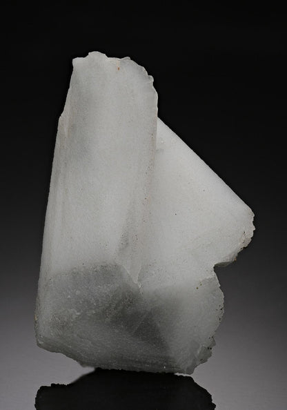 CC10113 specimen image