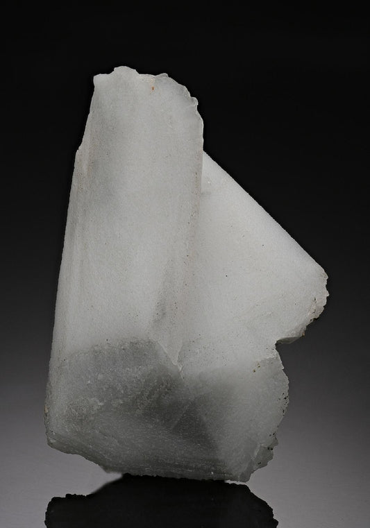 CC10113 specimen image