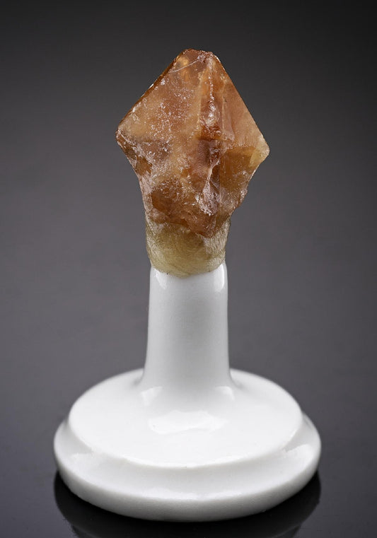 CC10116 specimen image