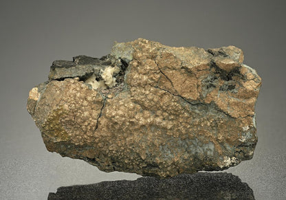 CC10135 specimen image