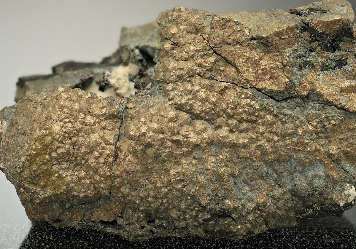 CC10135 specimen image