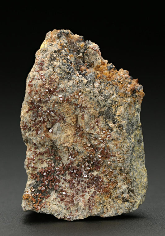 CC10142 specimen image