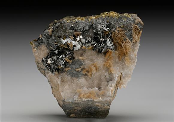 CC10164 specimen image