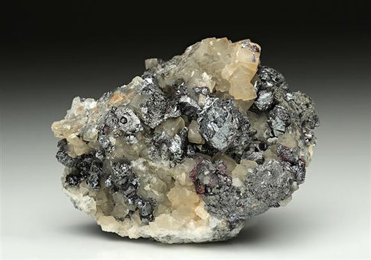 CC10167 specimen image