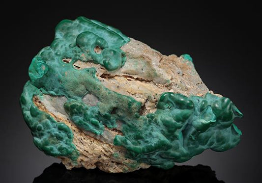 CC10168 specimen image