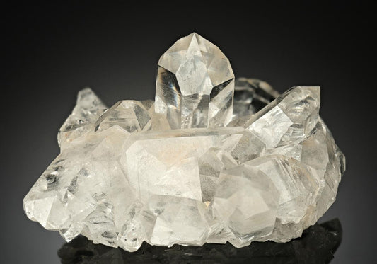 CC10195 specimen image