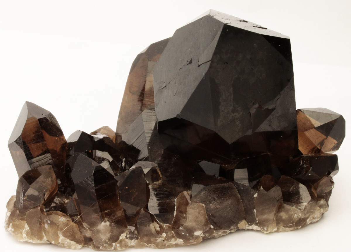 CC10199 specimen image