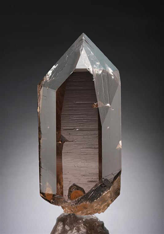 CC10207 specimen image