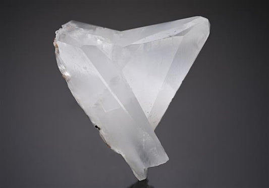 CC10210 specimen image