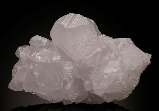 CC10277 specimen image