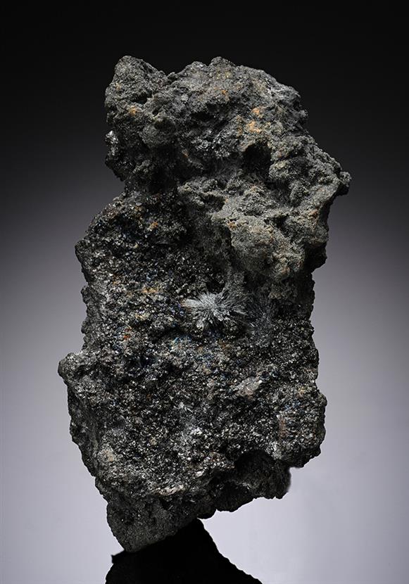 CC10289 specimen image