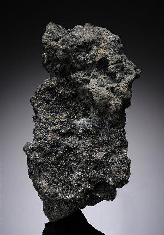 CC10289 specimen image
