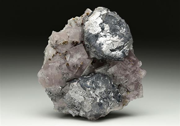 CC10308 specimen image