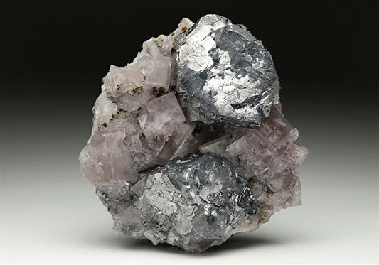 CC10308 specimen image