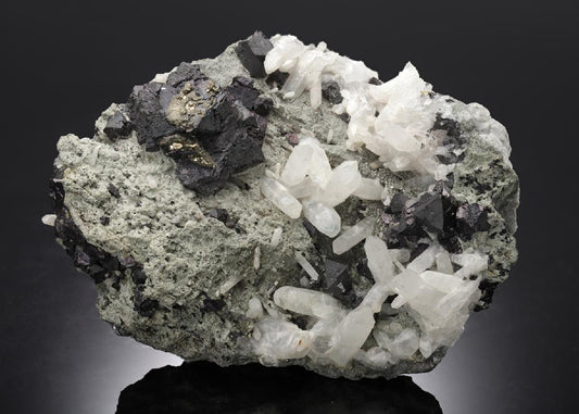 CC10312 specimen image