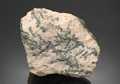 CC10320 specimen image