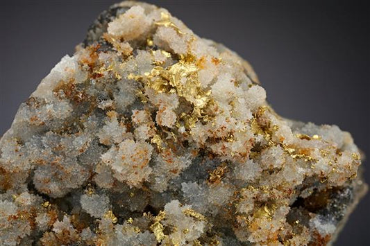 CC10328 specimen image