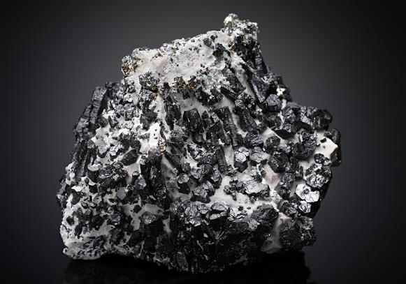 CC10340 specimen image