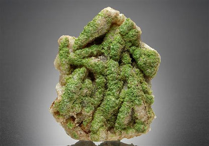 CC10412 specimen image