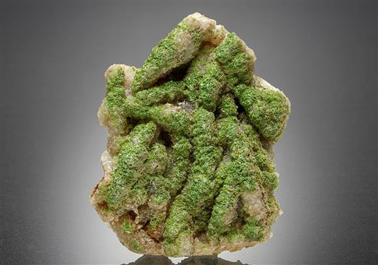CC10412 specimen image
