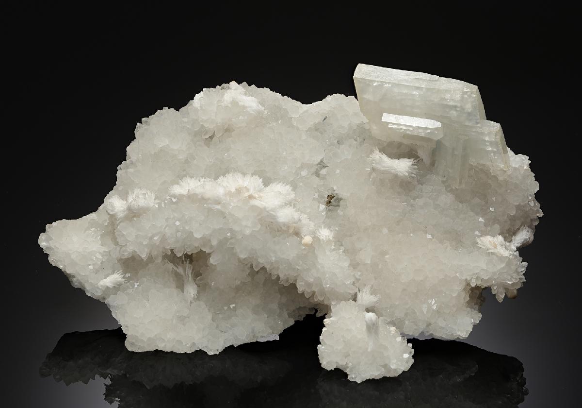 CC10417 specimen image