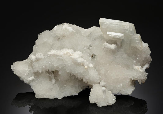 CC10417 specimen image