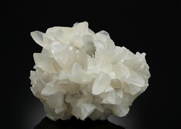 CC10419 specimen image