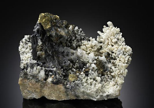 CC10426 specimen image