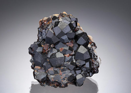 CC10444 specimen image