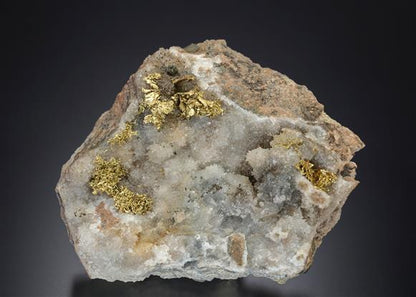 CC10461 specimen image