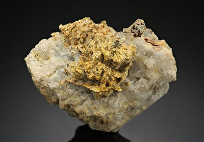 CC10462 specimen image