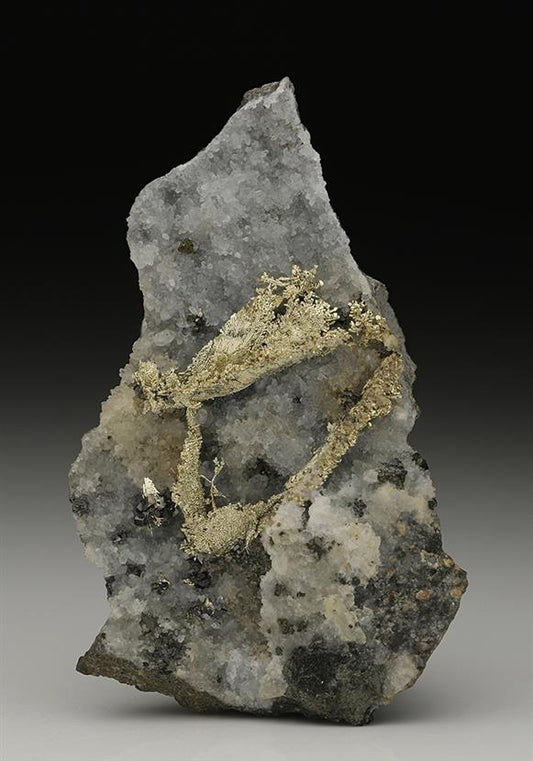 CC10467 specimen image