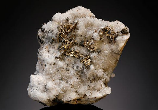 CC10483 specimen image