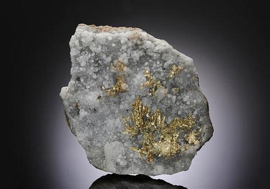 CC10484 specimen image
