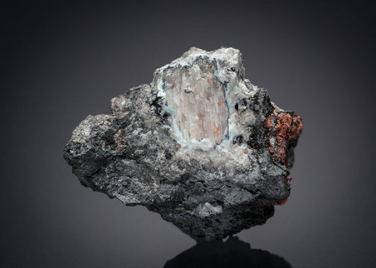CC10493 specimen image