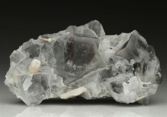 CC10495 specimen image